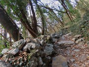 Monte San Martino (1080 m) ad anello da Rancio (Lecco)– 16dic24 -  FOTOGALLERY